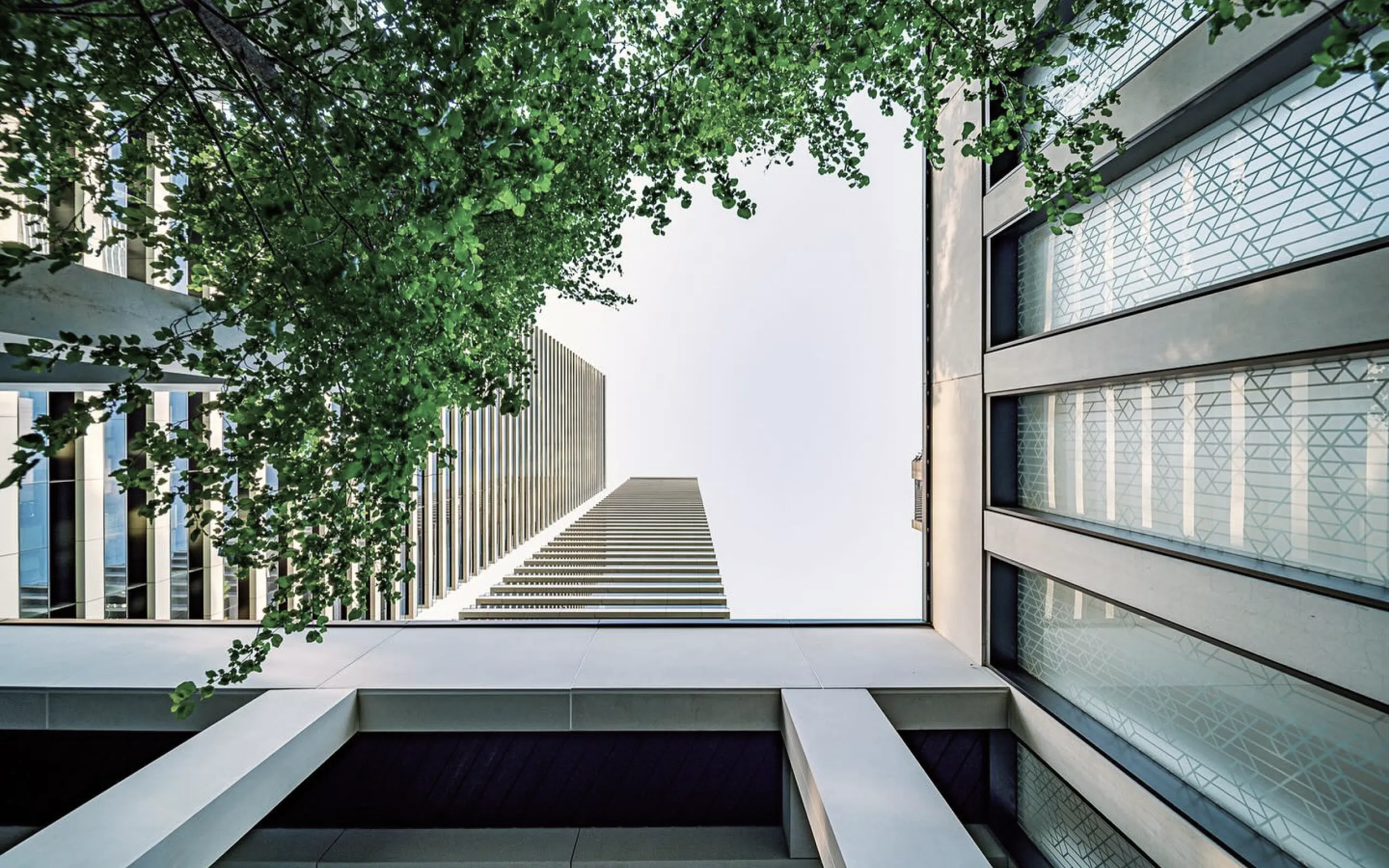 Wardian London - Atrium View