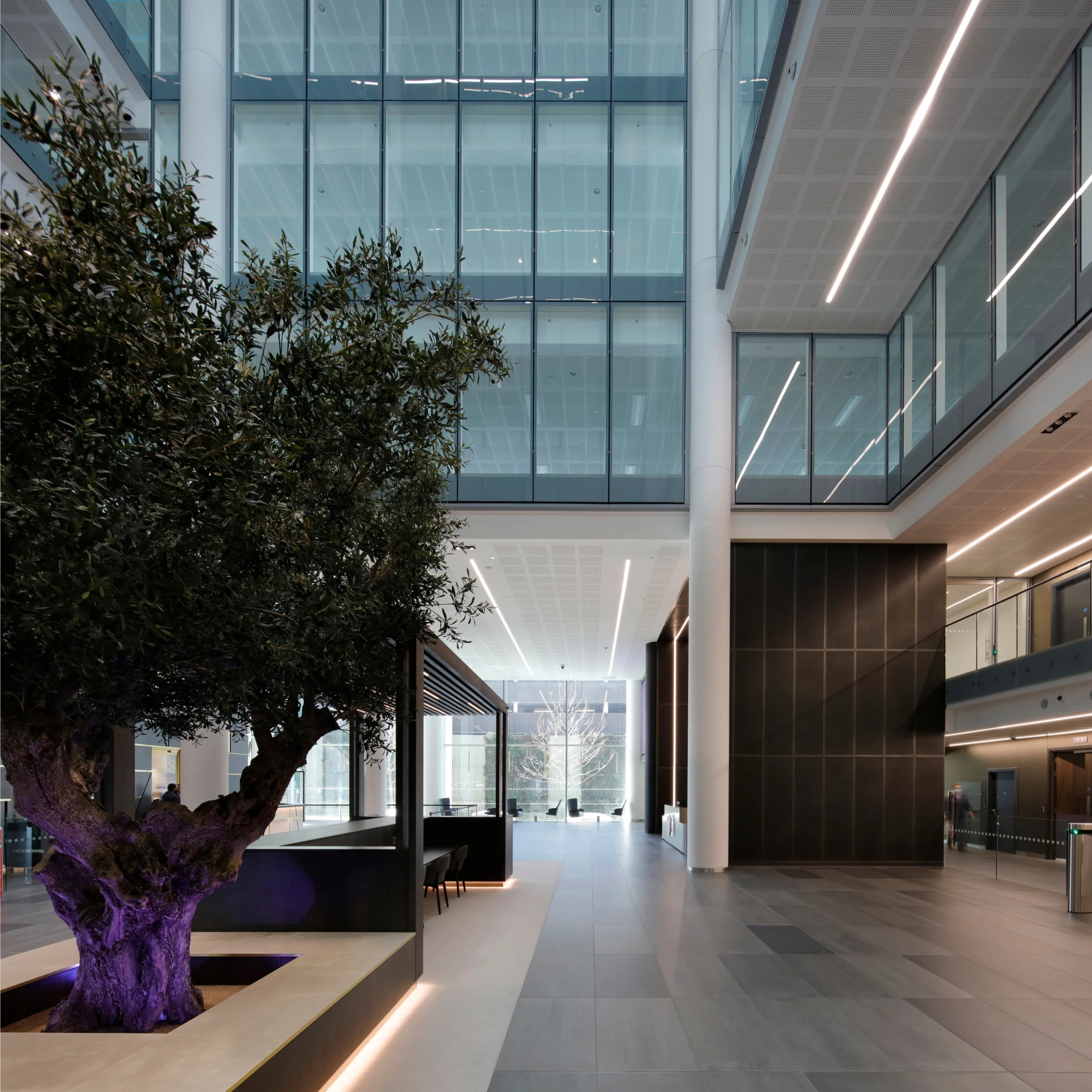Three Snowhill - atrium tree