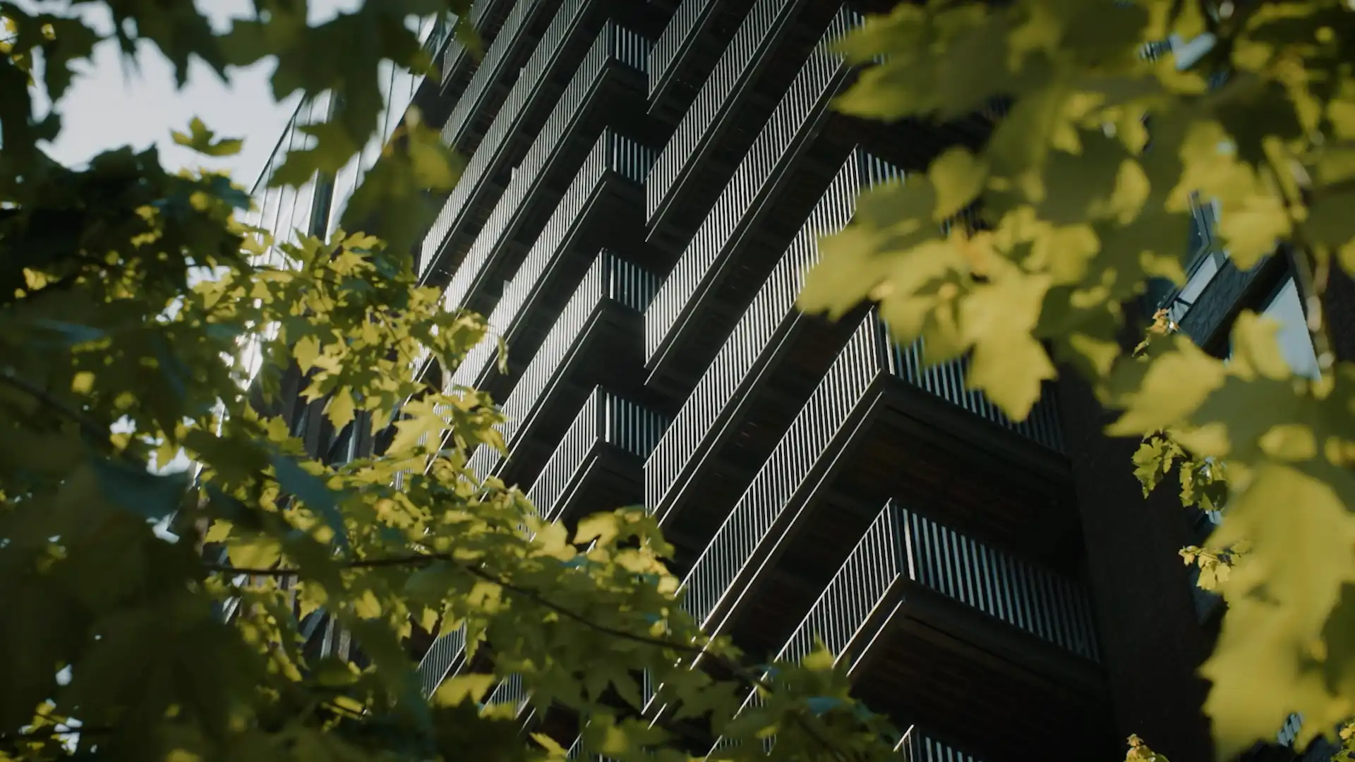 Embassy Gardens - Banner Video