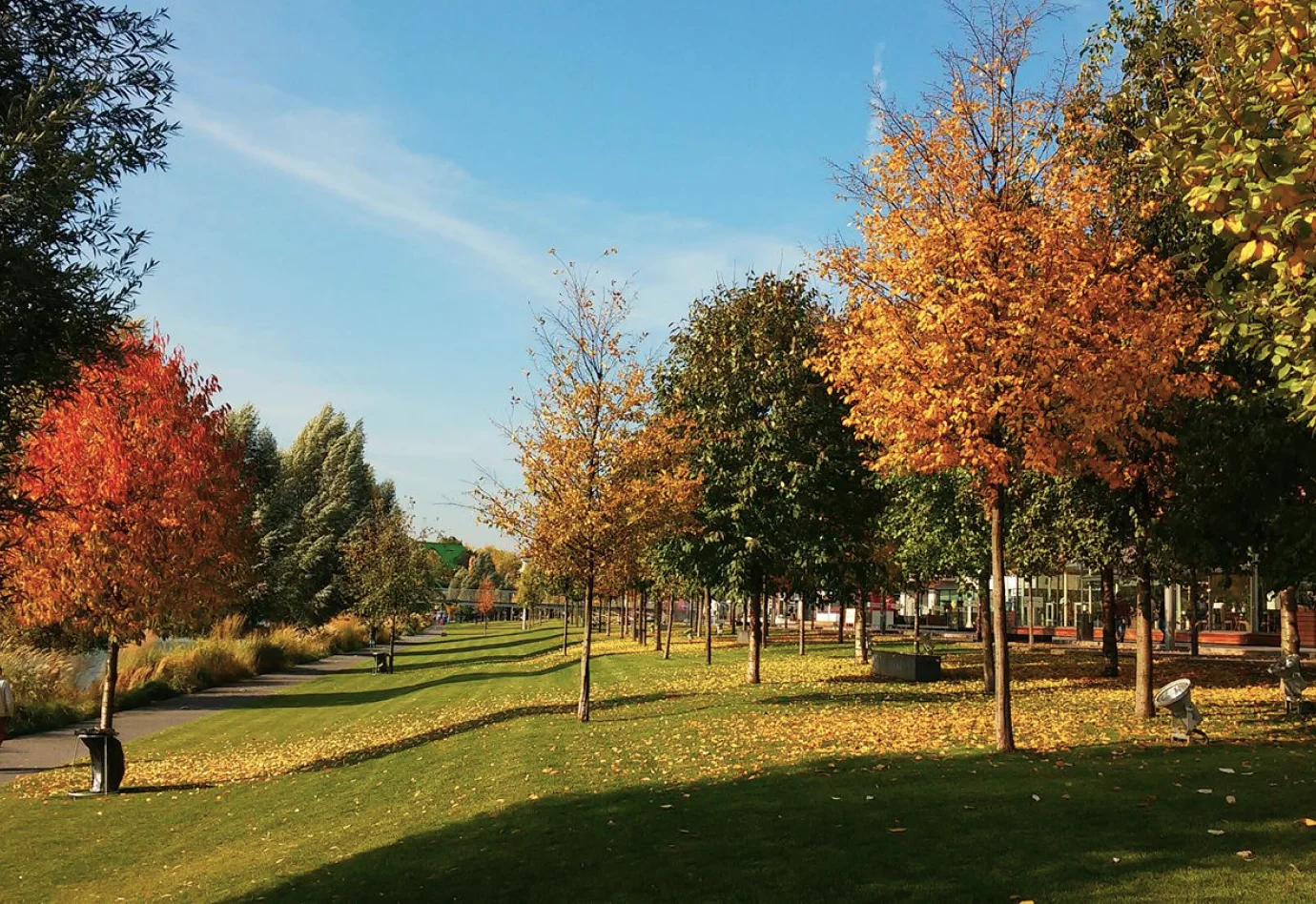 Eurovea - green space